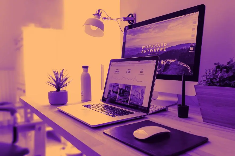 Ecommerce SEO Services